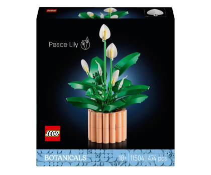 Klocki LEGO® LEGO BOTANICALS 11504 Skrzydłokwiat